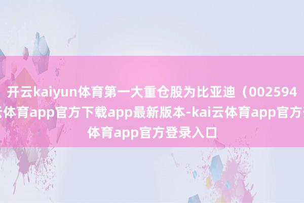 开云kaiyun体育第一大重仓股为比亚迪（002594）-kai云体育app官方下载app最新版本-kai云体育app官方登录入口