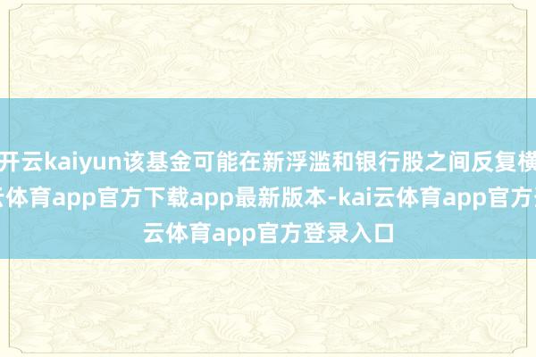 开云kaiyun该基金可能在新浮滥和银行股之间反复横跳-kai云体育app官方下载app最新版本-kai云体育app官方登录入口