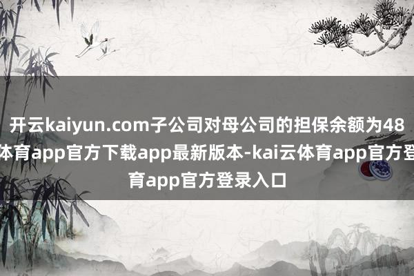 开云kaiyun.com子公司对母公司的担保余额为48-kai云体育app官方下载app最新版本-kai云体育app官方登录入口